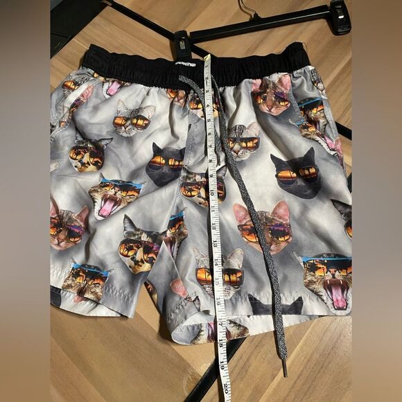 Cats with sun glasses shorts - Picture 5 of 5
